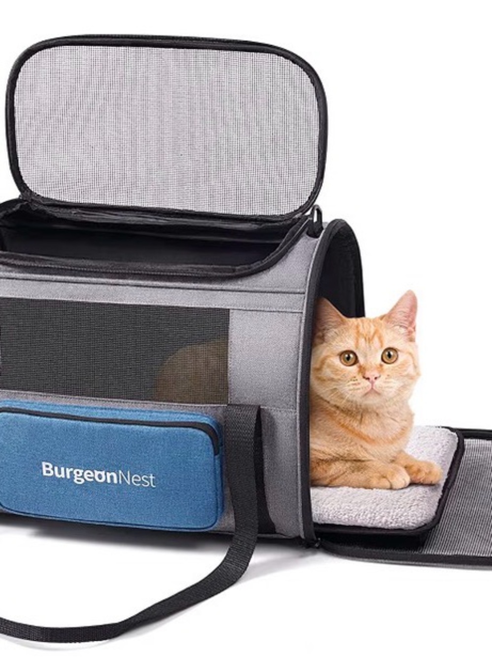 Gray and Blue Soft-Sided Cat Carrier with Front Pocket